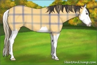 Horse Color:Plaid  Buckskin Splash 