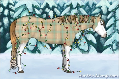Horse Color: Plaid  Red Dun Splash 