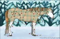 Horse Color:Plaid  Red Dun Splash 