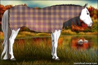 Horse Color:Plaid  Bay Splash 
