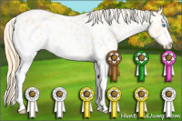 Horse Color:White Spotted Buckskin Pearl Appaloosa Rabicano