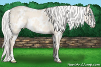 Horse Color:White Spotted Silver Perlino Dun Sabino
