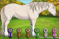 Horse Color:White Spotted Perlino