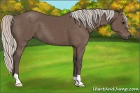 Horse Color:Silver Black 