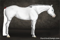 Horse Color:Silver Buckskin Pearl Appaloosa Rabicano