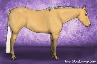 Horse Color:Silver Buckskin
