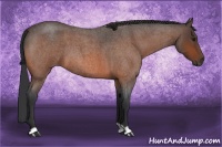 Horse Color:Bay Roan 