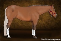 Horse Color:Silver Bay 
