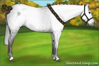 Horse Color:Gray Smoky Black 