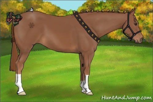 Horse Color: Chestnut 