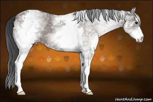 Horse Color: White Spotted Grullo 