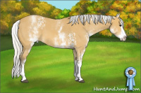 Horse Color:White Spotted Silver Buckskin Splash 