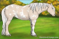 Horse Color:White Spotted Silver Perlino 