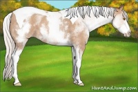 Horse Color:White Spotted Silver Classic Champagne Tobiano 