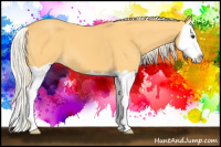Horse Color:Palomino Splash 