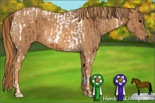 Horse Color: Bay Tobiano  Brindle