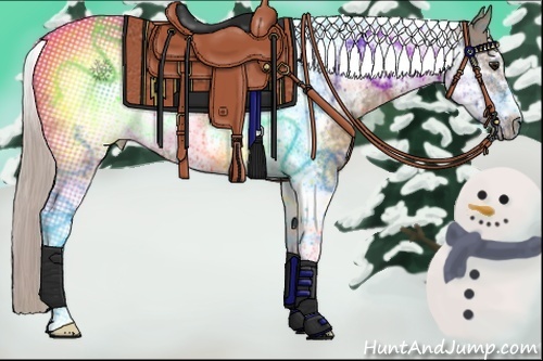 Horse Color:Silver Bay Ice Dun Tobiano Frame 