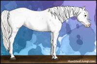 Horse Color:White Spotted Silver Buckskin Dun Near Fewspot 