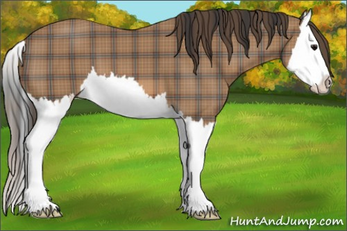 Horse Color: Plaid  Bay Splash 