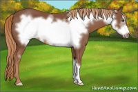 Horse Color:Liver Chestnut Frame 