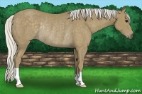 Horse Color:Silver Smoky Black Rabicano 