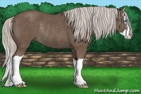 Horse Color:Silver Black Splash Rabicano 