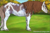Horse Color:Red Roan Splash 