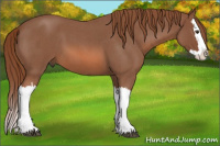 Horse Color:Liver Red Roan Splash 