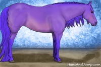 Horse Color:Watercolor Bay 