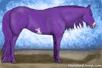 Horse Color:Watercolor Smoky Black Frame 