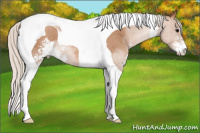 Horse Color:Silver Brown Pearl Sabino Tobiano 