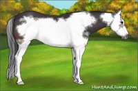 Horse Color:White Spotted Brown Splash Frame 