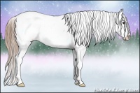 Horse Color:Liver Chestnut Splash Snowcap 