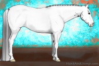 Horse Color:White Spotted Black