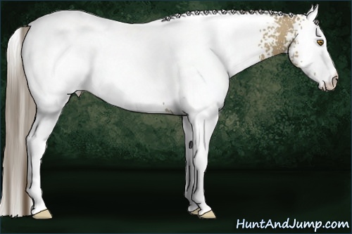 Horse Color: White Spotted Classic Cream Champagne 