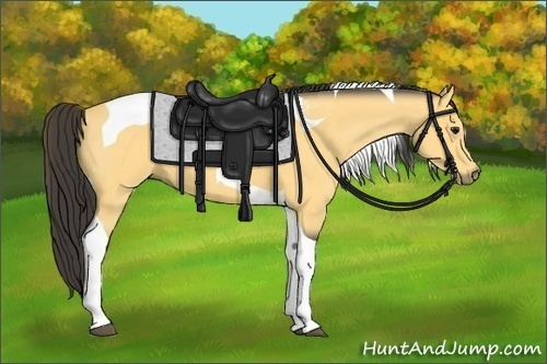 Horse Color: Buckskin Tobiano 
