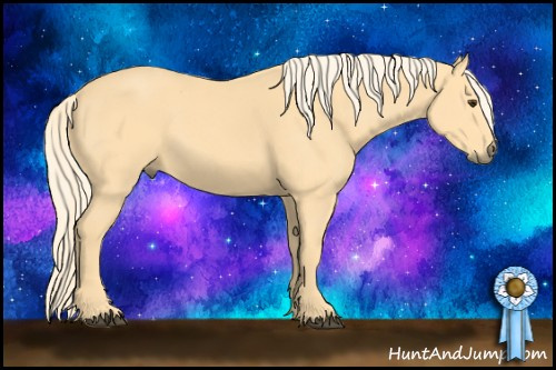 Horse Color: Palomino 