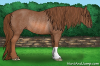 Horse Color:Chestnut Rabicano 