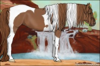 Horse Color:Chestnut Tobiano