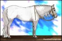 Horse Color:Silver Black Snowcap Rabicano 