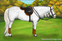 Horse Color:White Spotted Buckskin Pearl Dun Blanket 