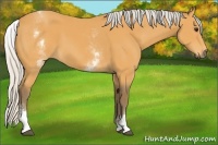 Horse Color:White Spotted Silver Buckskin 