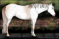 Horse Color:Gray Gold Champagne Frame 
