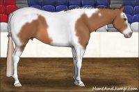 Horse Color:Chestnut Splash Tobiano Frame 