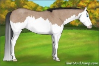 Horse Color:Bay Roan Dun Splash
