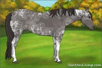 Horse Color:Smoky Black Ice Tobiano