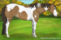 Horse Color:Buckskin Sabino Tobiano