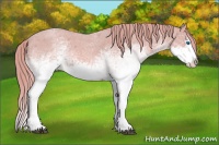 Horse Color:Watercolor White Spotted Red Roan Splash 