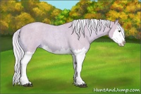 Horse Color:Watercolor Palomino Roan Splash 