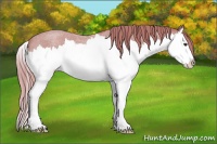 Horse Color:Watercolor Red Roan Splash 